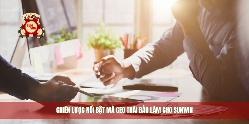 Chiến lược nổi bật mà CEO Thái Bảo làm cho Sunwin