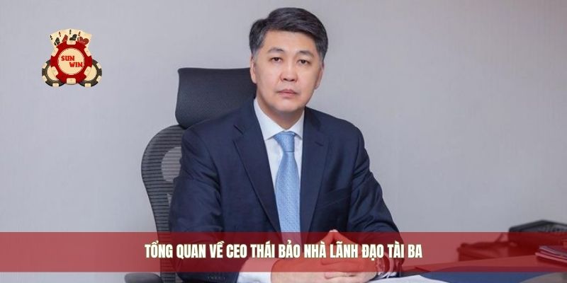 Tổng quan về CEO Thái Bảo nhà lãnh đạo tài ba