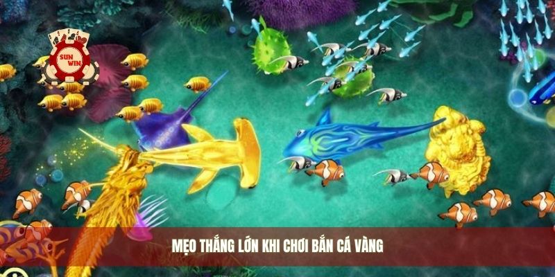 Mẹo thắng lớn khi chơi bắn cá vàng