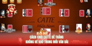 Cách Chơi Catte Dễ Thắng Không Hề Khó Trong Mỗi Ván Bài