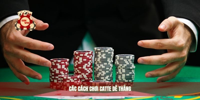 Các cách chơi catte dễ thắng