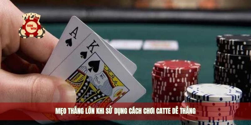 Mẹo thắng lớn khi sử dụng cách chơi catte dễ thắng