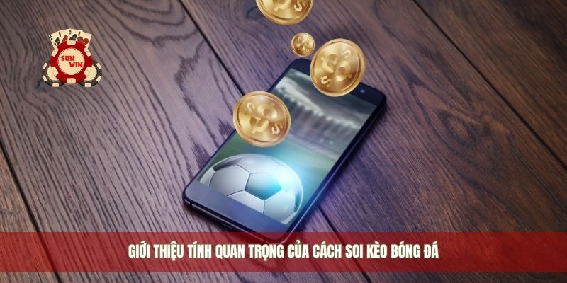 Giới thiệu tính quan trọng của cách soi kèo bóng đá