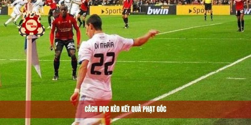Cách đọc kèo kết quả phạt góc