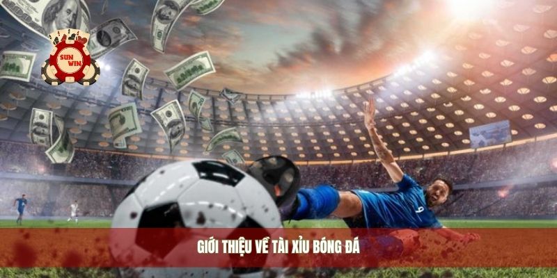Giới thiệu về tài xỉu bóng đá